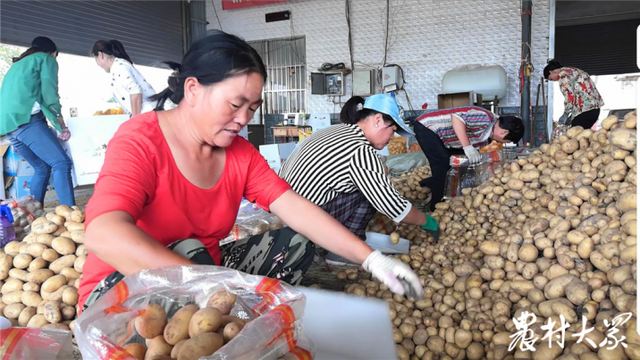 https://pics5.baidu.com/feed/a8ec8a13632762d0f9b98f17076b51fd503dc625.png?token=fdc432aec500315b78300f58b640bcee