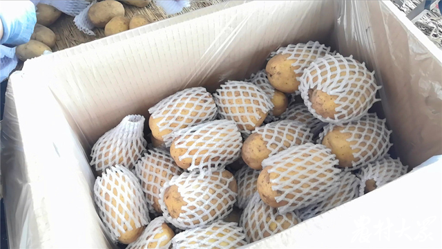 https://pics7.baidu.com/feed/0e2442a7d933c895bbcb2bf670942af783020010.png?token=537db65ffe4ef60d394e02732d23dc9b